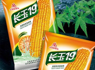 种子研发与生产经营 农作物种子产业的双翼