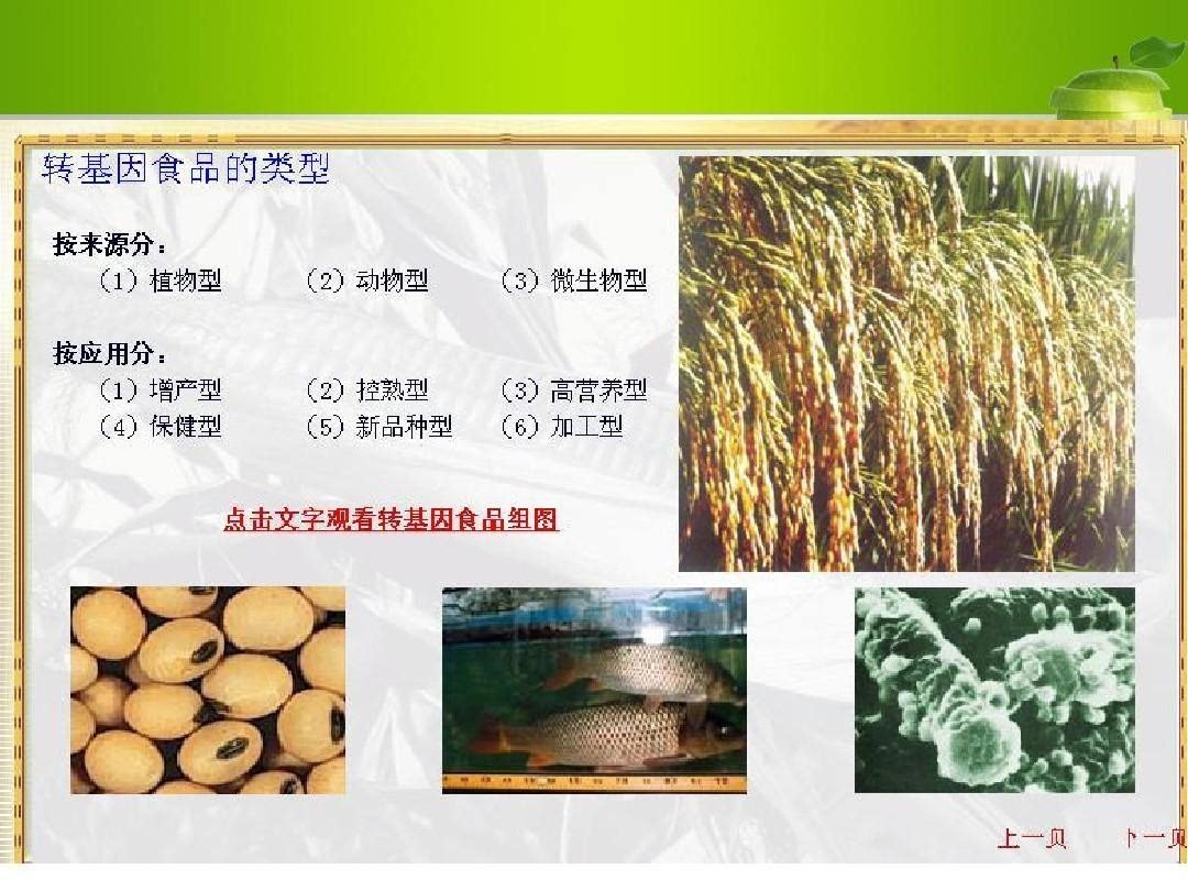 农业农村部发布新规 严管转基因种子，筑牢生物安全防线